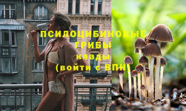 дурь Михайловка