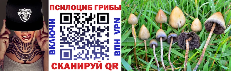Галлюциногенные грибы мицелий  даркнет сайт  OMG маркетплейс  Всеволожск 
