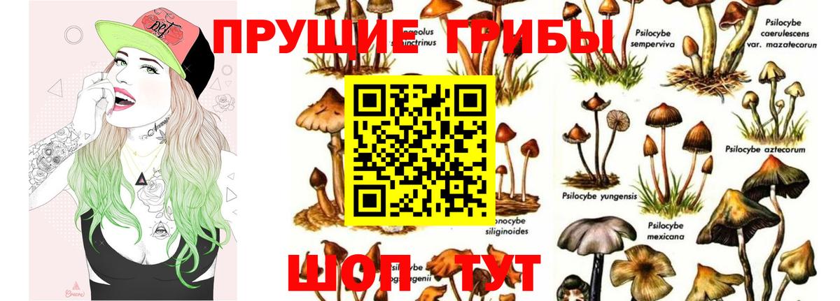 Галлюциногенные грибы Magic Shrooms Всеволожск