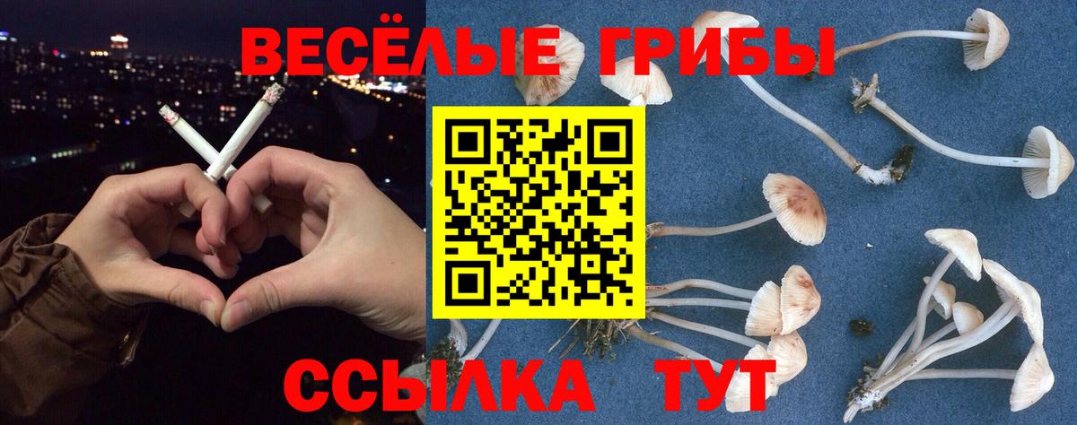 Псилоцибиновые грибы Magic Shrooms  Псилоцибиновые грибы прущие грибы  Всеволожск 