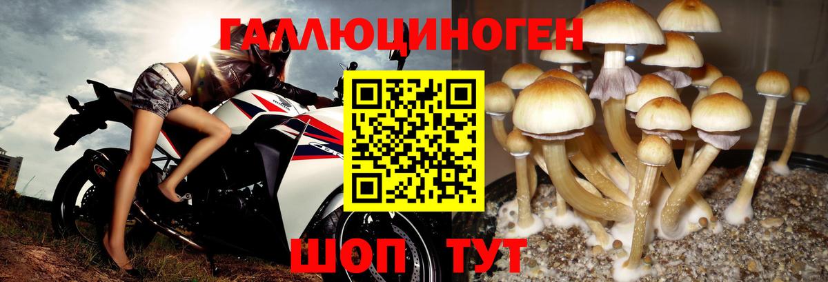 Галлюциногенные грибы мухоморы  Вход с VPN  купить   Псилоцибиновые грибы Magic Shrooms  Всеволожск 